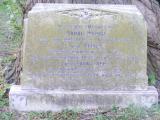 image of grave number 251219